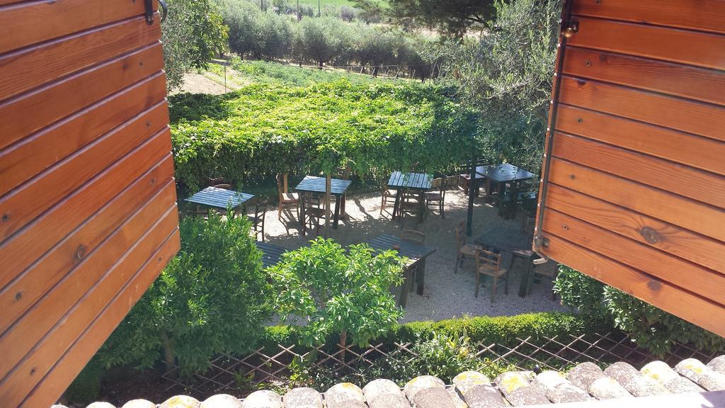 Bed and Breakfast Agriturismo Col Morino Pineto Zimmer foto